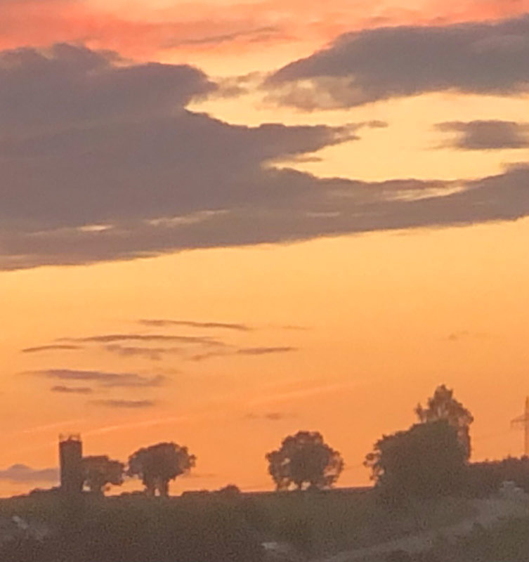 Landschaft in orange